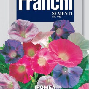 Franchi Seeds of Italy - Flower - FDBF_ 333-1 - Ipomea Multicolour - Morning Glory - Seeds