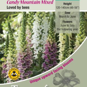 Kings Seeds Foxglove Candy Mountain Mix 50 Seed