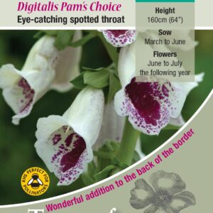 Kings Seeds Foxglove Pams Choice 200 Seed