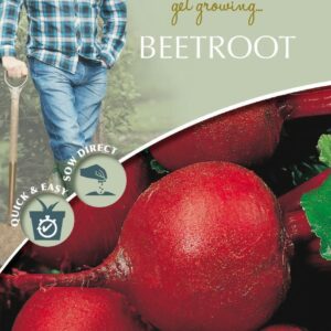Mr Fothergills - David Domoney - Vegetable - Beetroot - Moneta - 200 Seeds