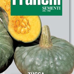 Franchi Seeds of Italy - DBO 145/7 - Pumpkin - BERRETTINA PIACENTINA - Seeds