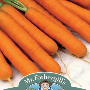 Mr Fothergills - Vegetable - Carrot - Norfolk F1 - 350 Seeds