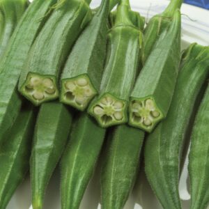 Okra Super Bhindi Seeds