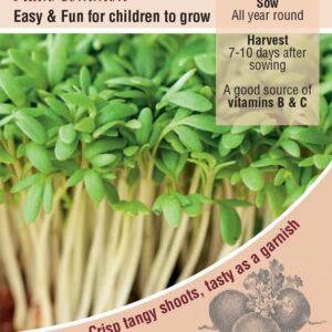 Kings Seeds  Cress Plain / Common Seeds