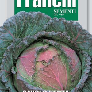 Franchi Seeds of Italy Savoy Cabbage S. Michele Seeds
