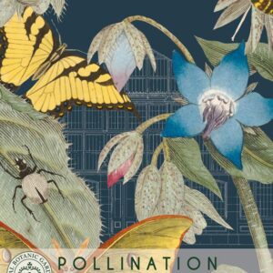 Thompson & Morgan Kew Pollinators Herb Borage - 100 Seeds