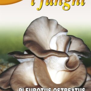 FRANCHI - OYSTER MUSHROOM - PLEUROTUS OSTREATUS - 100G