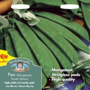 Mr Fothergills Pea (Mangetout) Sweet Sahara 250 Seeds