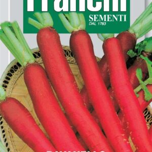 Franchi Seeds of Italy Radish Candela Di Fuoco Seeds