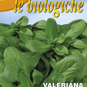 Franchi Organic BIOB140/3 Corn Salad D'Olanda Seeds