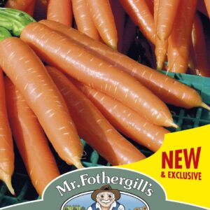 Mr Fothergills Carrot Volcano F1 - 350 Seeds