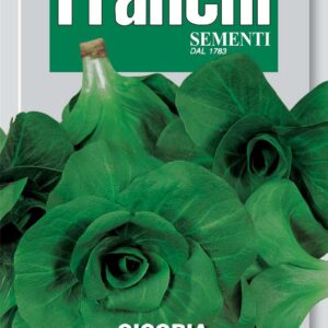 Franchi Seeds of Italy Chicory Grumolo Verde Seeds