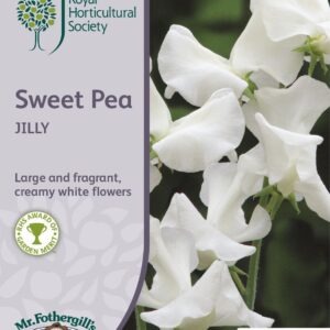 Mr Fothergills RHS Sweet Pea Jilly 25 Seeds