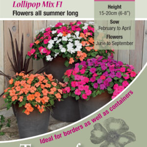 Kings Seeds Impatiens Lollipop Mix F1 - 20 Seeds