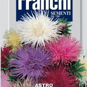 Franchi Seeds of Italy - Flower - FDBF_ 304-11 - Aster unicum - Multicolour - Seeds