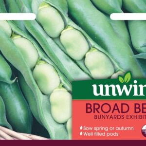 Unwins Broad Bean Bunyards Exhibition 40 Seeds