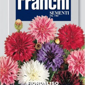 Franchi Seeds of Italy - Flower - FDBF_ 320-1 - Cornflower - Foirdaliso Doppio - Seeds
