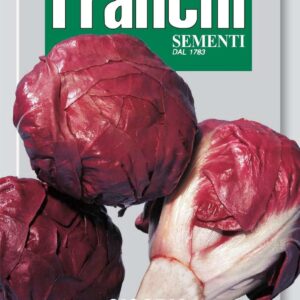 Franchi Seeds of Italy - DBO 40/13 - Chicory - Rossa Di Verona A Palla - Seeds