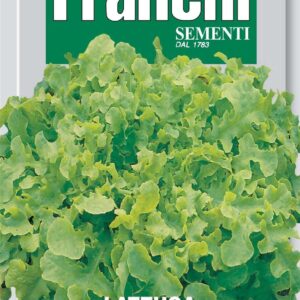 Franchi Seeds of Italy - DBO 78/24 - Lettuce - Salad Bowl - Seeds