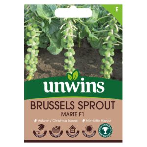 Unwins Vegetable Brussels Sprout Marte F1 Hybrid - 20 Seeds