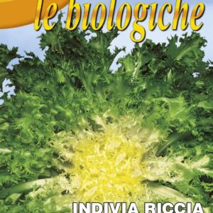 Franchi Organic BIOB75/1 Endive Pancalieri Seeds