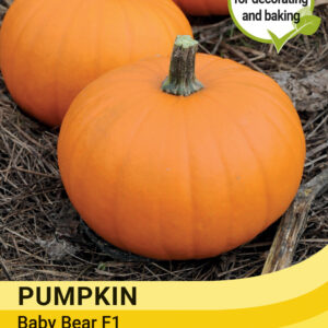 Thompson & Morgan  Vegetable Pumpkin Baby Bear F1 - 10 Seeds