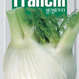 Franchi Seeds of Italy Fennel Montebianco Seeds