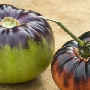 Tomato Indigo Blue Beauty Seeds