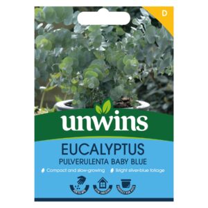 Unwins Flower Eucalyptus pulverulenta Baby Blue - 10 Seeds