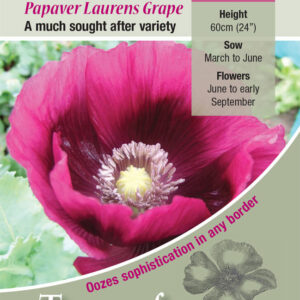 Kings Seeds Poppy Laurens Grape 500 Seed