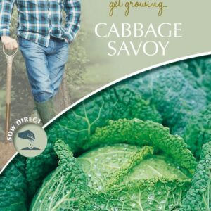 Mr Fothergills - David Domoney - Vegetable - Cabbage Savoy - Ormskirk - 400 Seeds