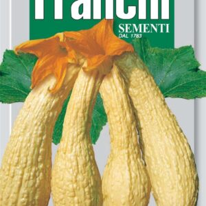 Franchi Seeds of Italy - DBO 146/54 - Courgette - Rugosa Friulana - Seeds