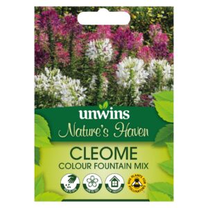 Unwins Flower Cleome Colour Fountain Mix - 250 Seeds