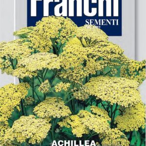 Franchi Seeds of Italy - Flower - FDBF_ 300-40 - Achillea Filipendulina - Gialla - Seeds