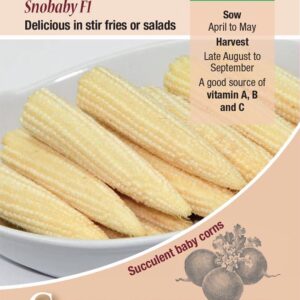 Kings Seeds  Sweet Corn Snobaby F1 Seeds