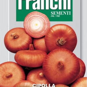 Franchi Seeds of Italy - DBO 43/1 - Onion - Piatta Di Bergamo - Seeds