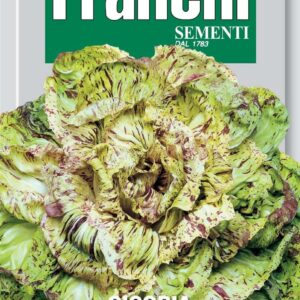 Franchi Seeds of Italy Chicory Variegata Di Castelfranco Seeds