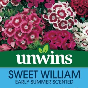 Unwins Sweet William Early Summer Scented 450 Seeds