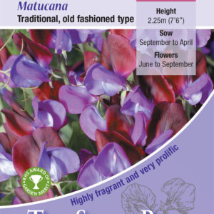 Kings Seeds Sweet Pea Matucana 20 Seeds