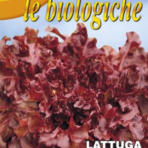 Franchi - ORGANIC - 78/25 - Lettuce - Red Salad Bowl - 5g Seeds