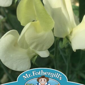 Mr Fothergills - Flower - Sweet Pea - Primrose - 20 Seeds