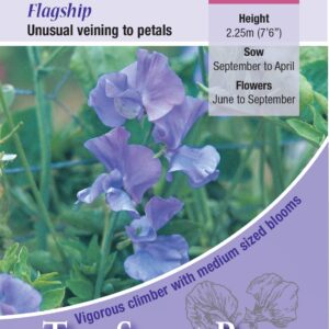 Kings Seeds Sweet Pea Flagship 20 Seed