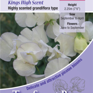 Kings Seeds Sweet Pea Kings High Scent 20 Seeds