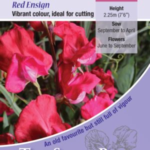 Kings Seeds Sweet Pea Red Ensign 20 Seed