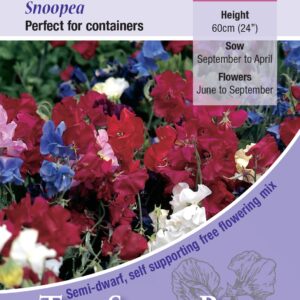 Kings Seeds Sweet Pea Snoopea 30 Seeds