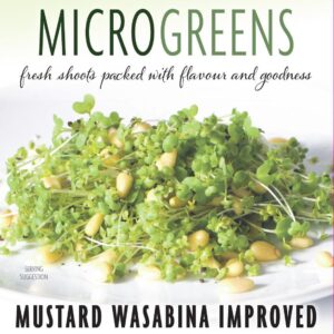 Thompson & Morgan Vegetable Microgreens Mustard Wasabina Improved  - 300 Seeds
