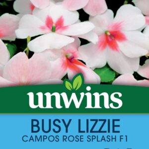 Unwins Busy Lizzie Campos Rose Splash 20 Seeds