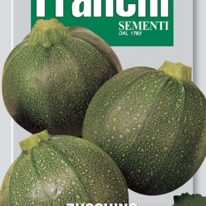 Franchi Seeds of Italy Courgette Tondo Di Piacenza Seeds