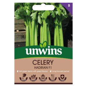 Unwins Vegetable Celery Hadrian F1 Hybrid - 100 Seeds