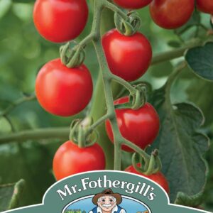 Mr Fothergills Tomato Consuelo F1 - 10 Seeds